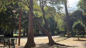 Een park met bomen, banken en een onverhard pad.
