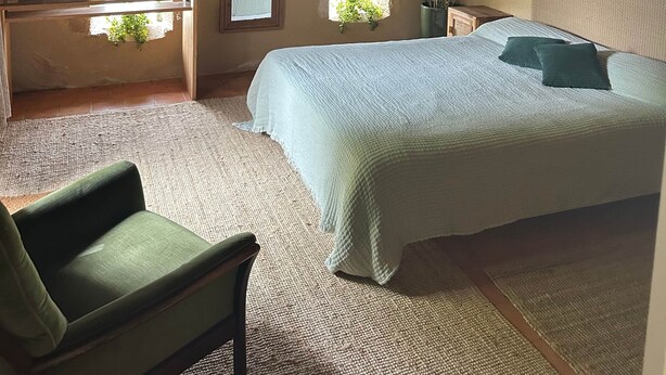 A bedroom with a bed, a chair, a bedside table, a hanging light fixture, and a window with plants.
