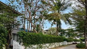 A paved pathway flanked by a white picket fence and lush greenery, leading to a residential area with houses and trees. - Maribel Villa Phu Quoc 4BR - Private Pool (Phú Quốc)