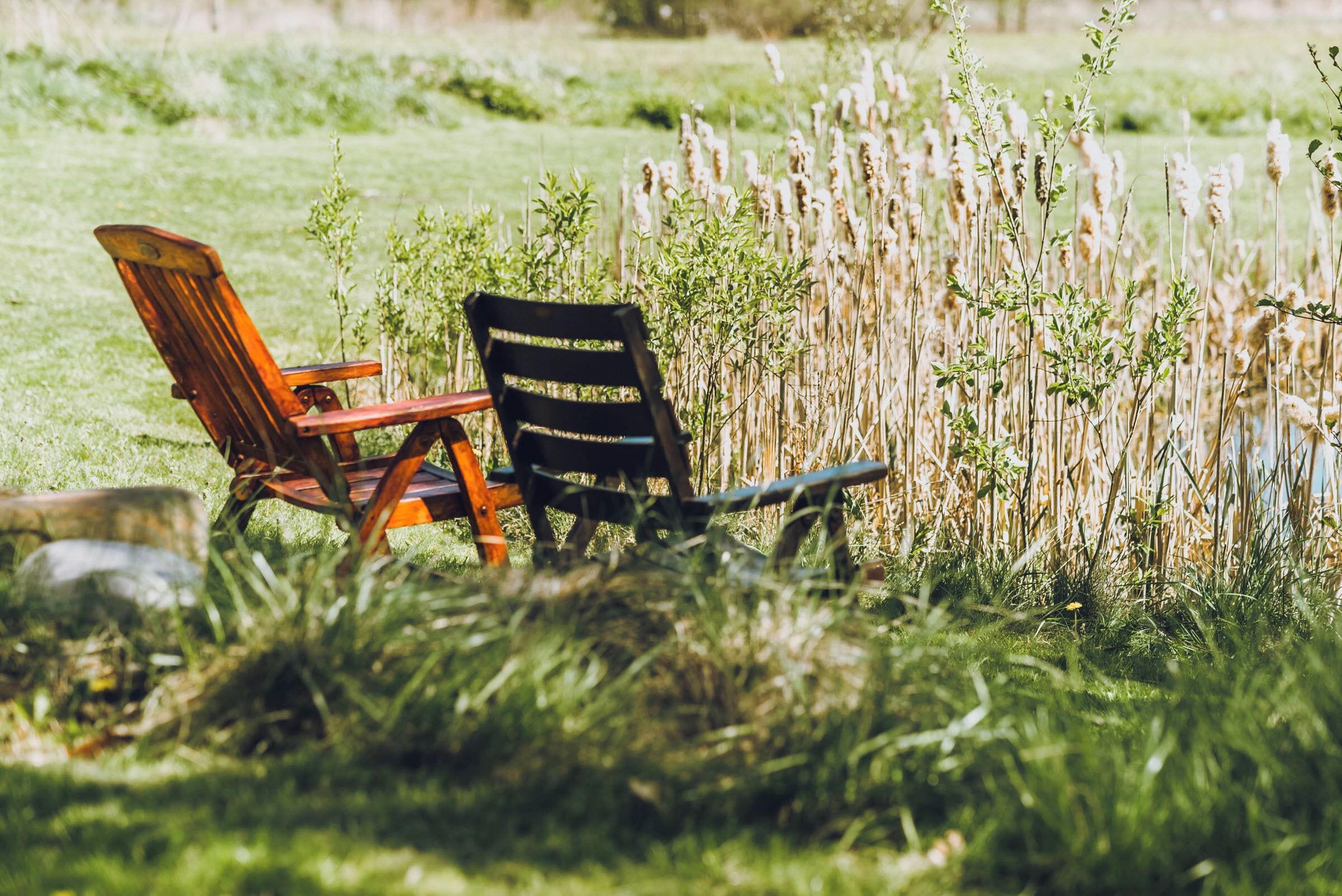 Two chairs in a grassy field with tall plants.