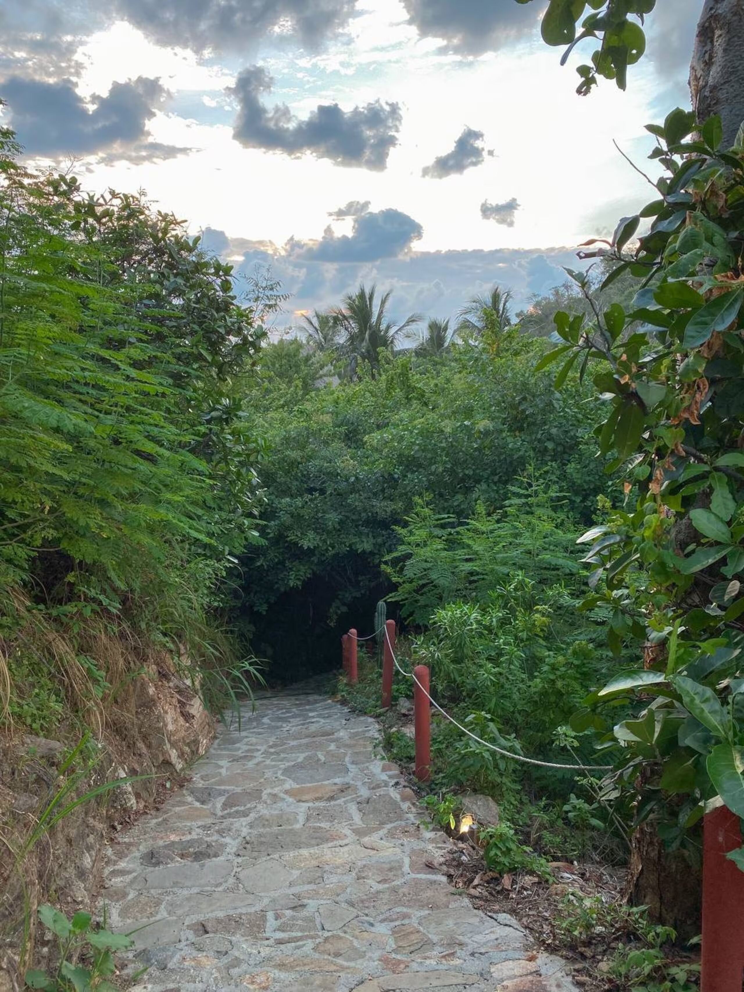 Un sendero de piedra que serpentea por una zona verde exuberante, bordeada de follaje denso a ambos lados.