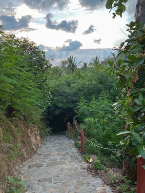 A stone pathway leading through a lush green area with dense foliage on both sides.