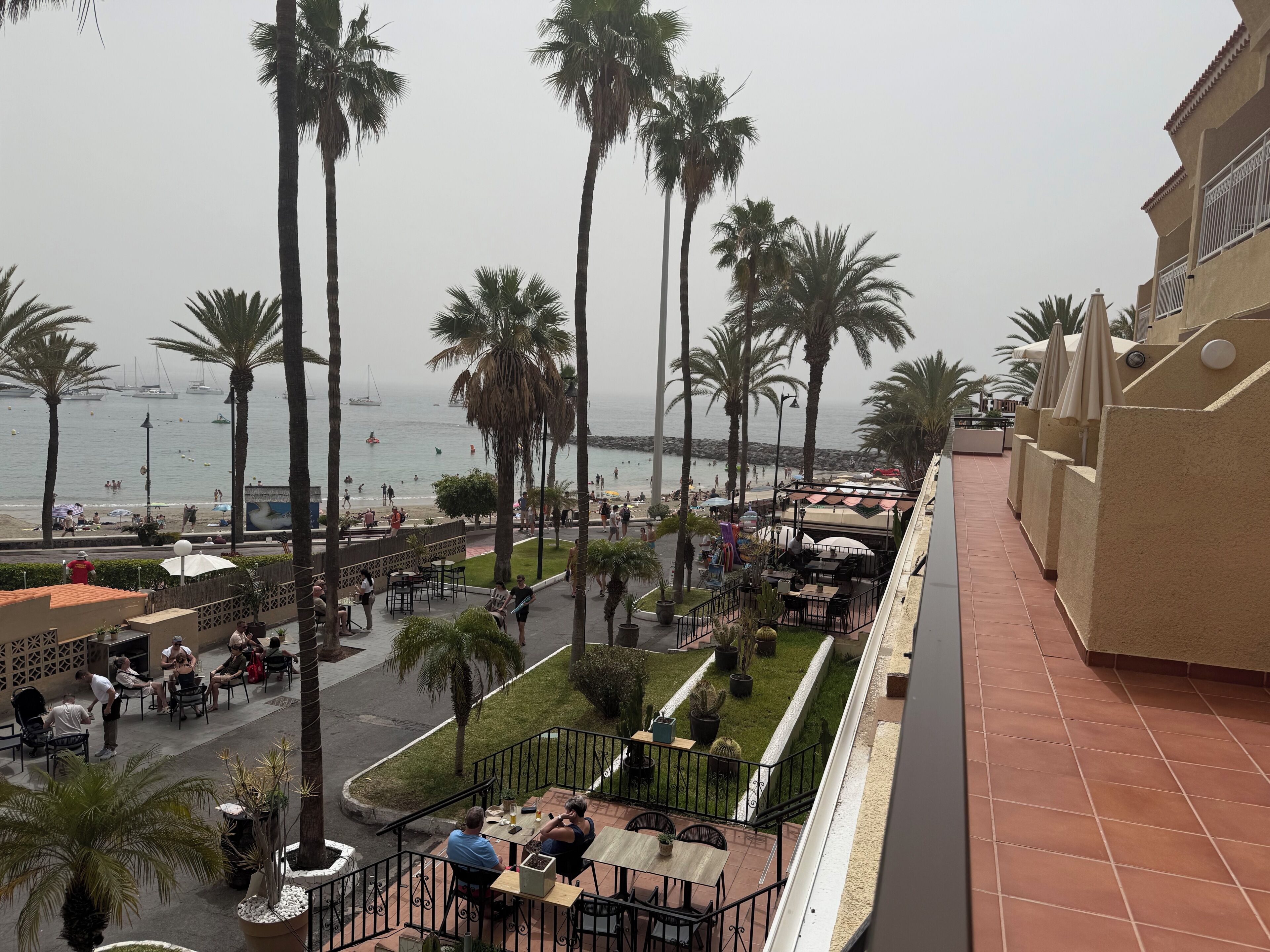 A balcony with outdoor seating overlooking a beach with palm trees and a view of the sea.