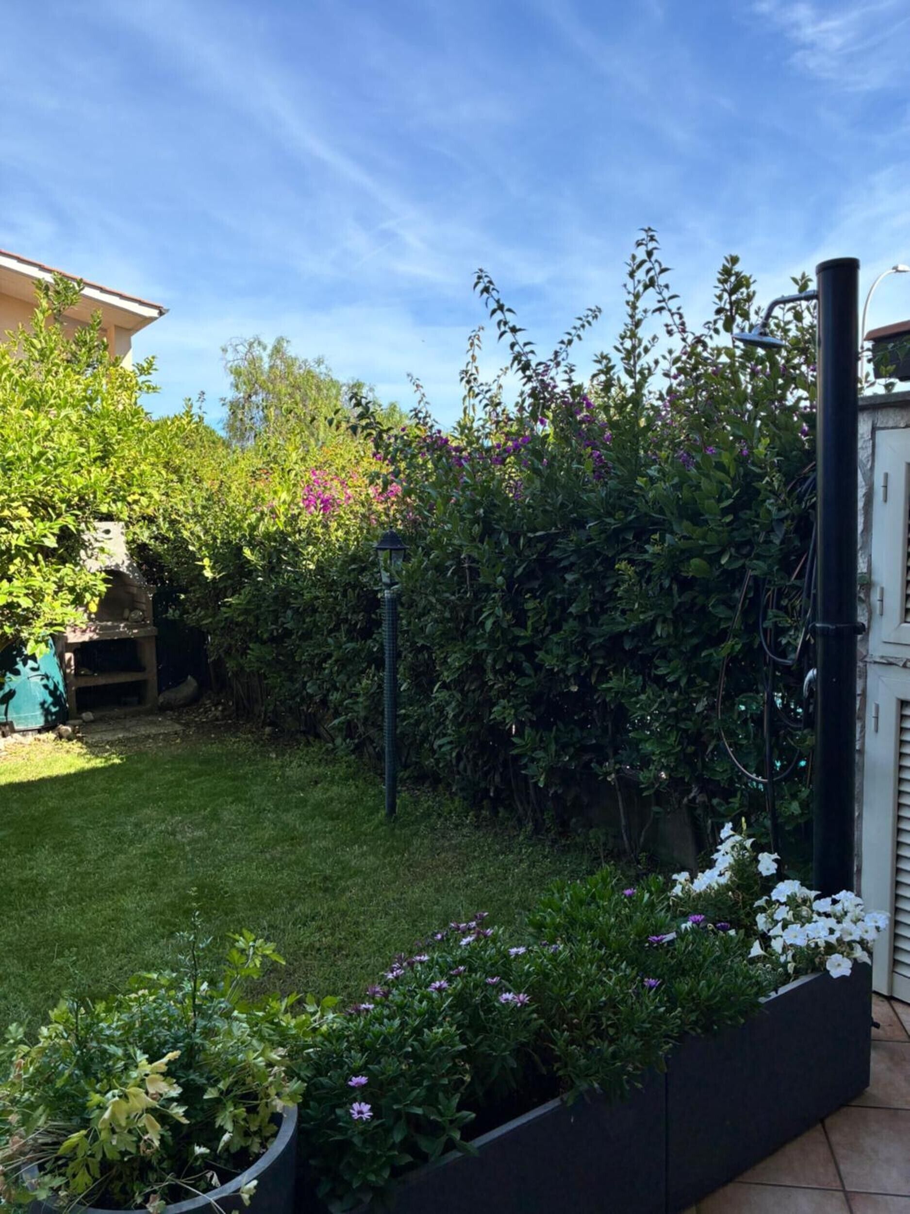 Een verzorgde tuin met diverse planten en bloemen, een gazon en een metalen hek.
