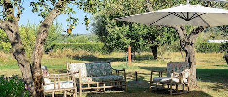Un espacio al aire libre con dos sillones de mimbre bajo un paraguas grande, rodeado de árboles y un campo cubierto de césped.