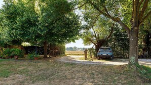 Un sentiero sterrato conduce a un'auto parcheggiata in una zona boschiva, con alberi e piante in vaso.