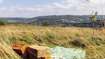 Un coin pique-nique aménagé avec un panier et une couverture à carreaux sur une colline herbeuse, d’où l’on a une vue sur la ville.