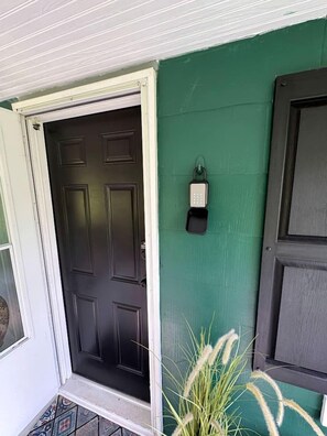 A dark door with a keypad lock, a green wall, and a small plant beside it.