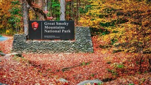 Schild für den Great Smoky Mountains National Park, mit Steinsockel und umgeben von Herbstlaub.