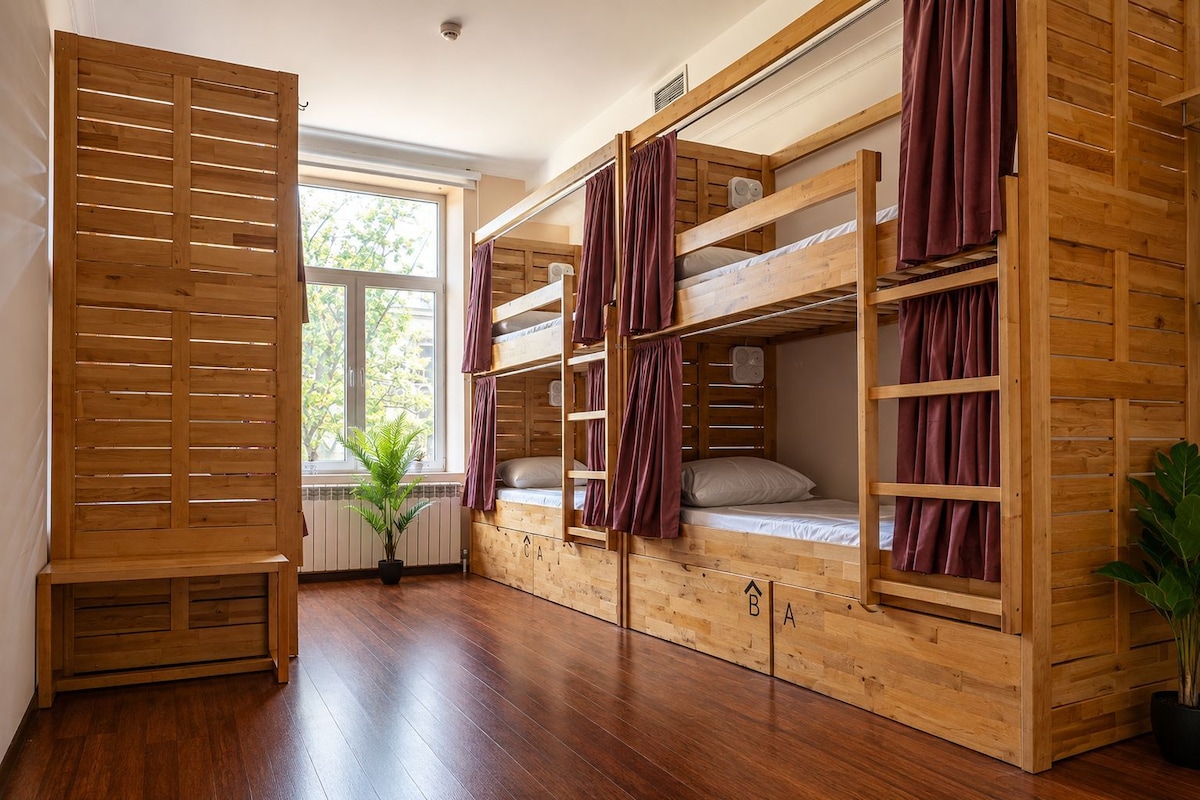 A room with a bunk bed, wooden slat wall, a potted plant, and a window.