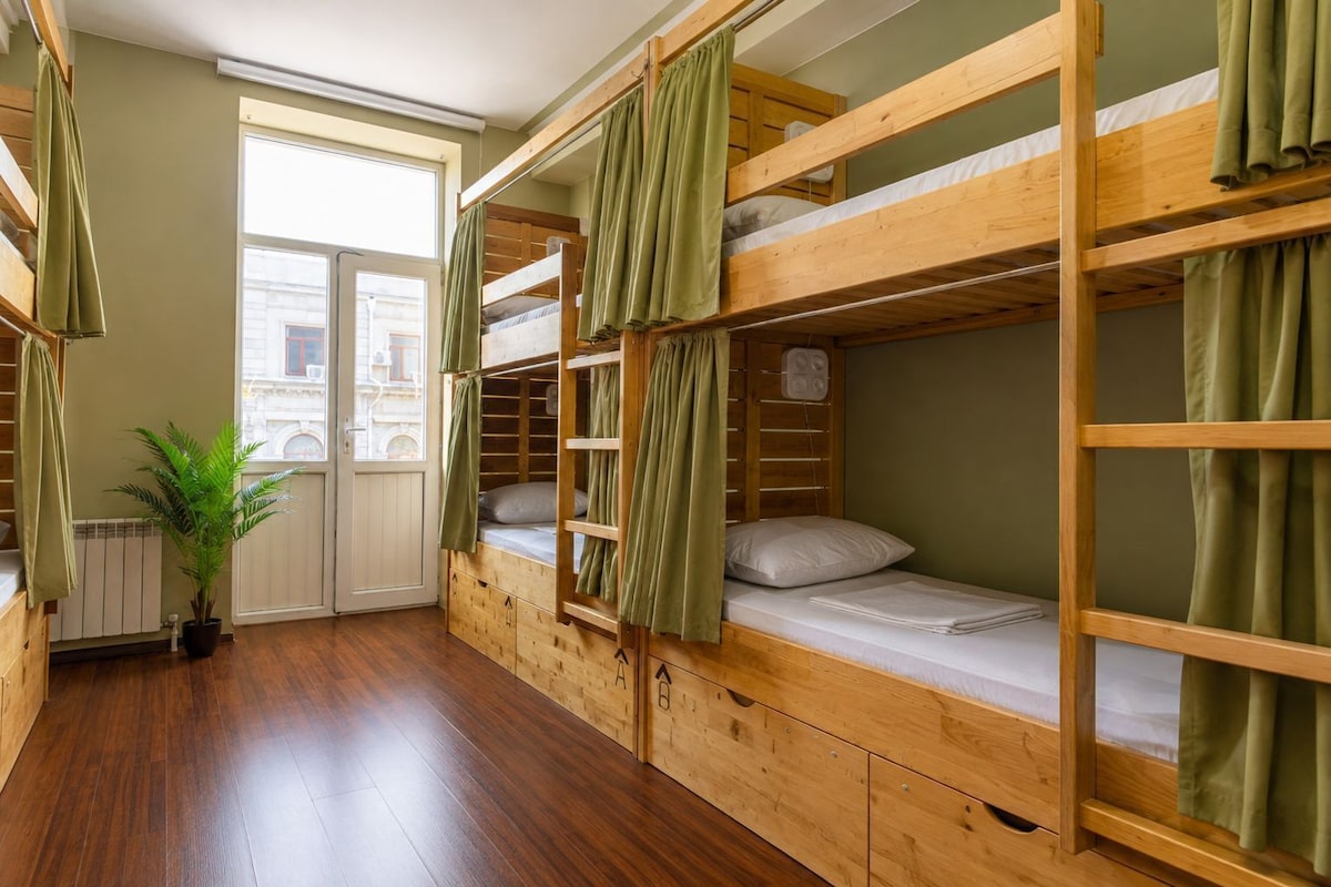 A dormitory room with bunk beds, a potted plant, and a window with curtains.