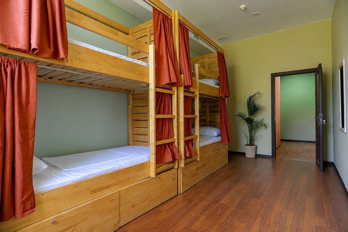 Dormitorio con literas de madera, una planta en maceta y una puerta que da a otra habitación.