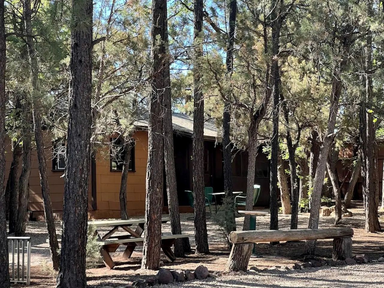 A rustic cabin with picnic tables and a natural forest setting.