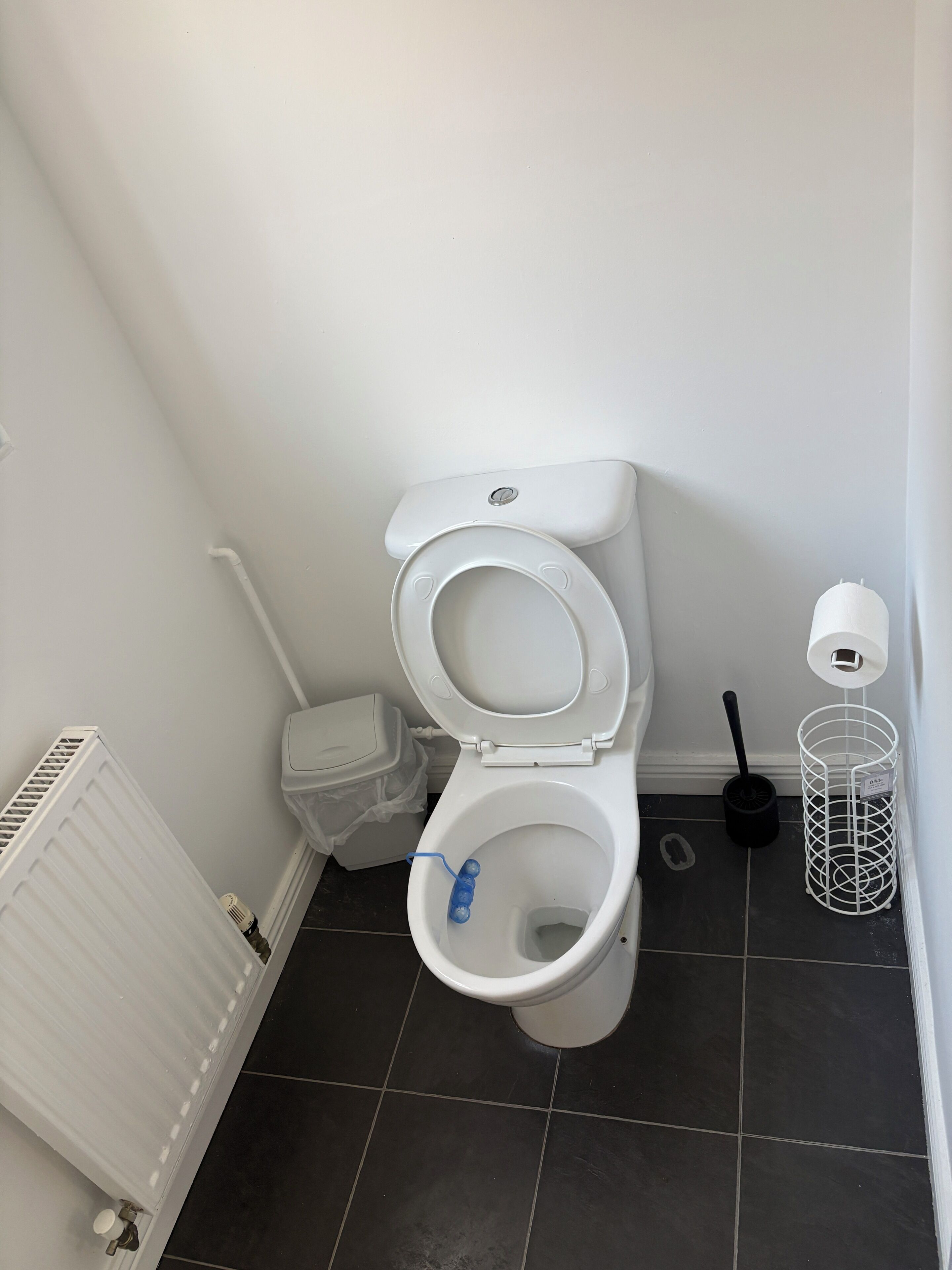 A white toilet with a closed lid, a white radiator, a black floor, and a white trash bin.