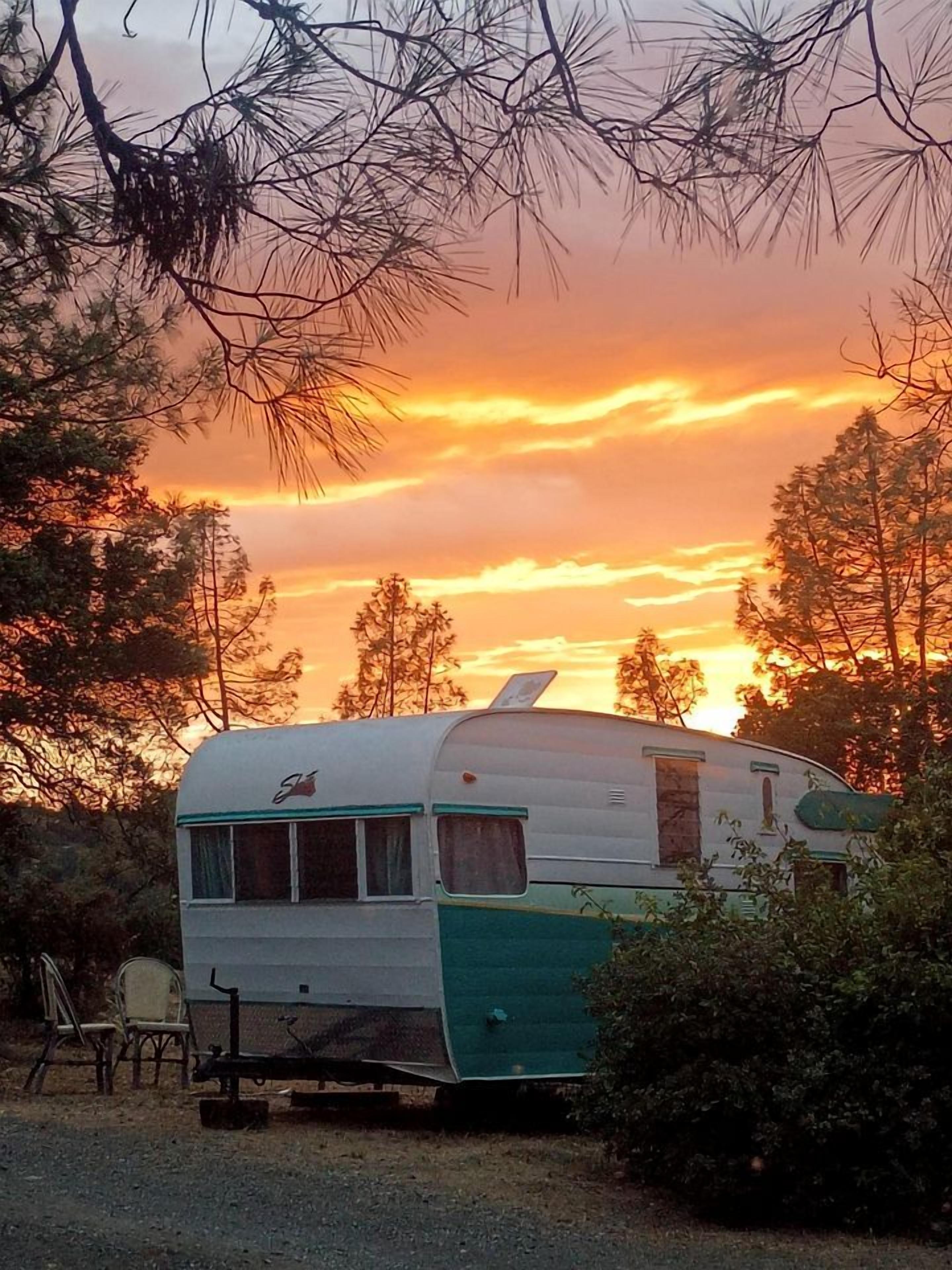 Une vieille caravane, typique des modèles anciens, est garée dans un cadre naturel, entourée d’arbres.
