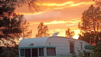 Une vieille caravane, typique des modèles anciens, est garée dans un cadre naturel, entourée d’arbres.