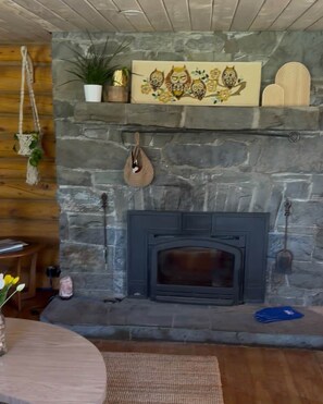 A stone fireplace with a mantel shelf, a hanging basket, and a painting of owls.