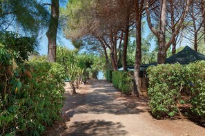 A pathway flanked by trees and shrubs, leading to a building with a green roof. - Two-room Apartment with Veranda and Garden 100m from the Sea - Villaggio Sole e Mare (Rio)