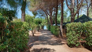 A pathway flanked by trees and shrubs, leading to a building with a green roof. - Three-Room Apartment with Garden 100 Meters from the Beach - Sole e Mare Tourist Village (Rio)