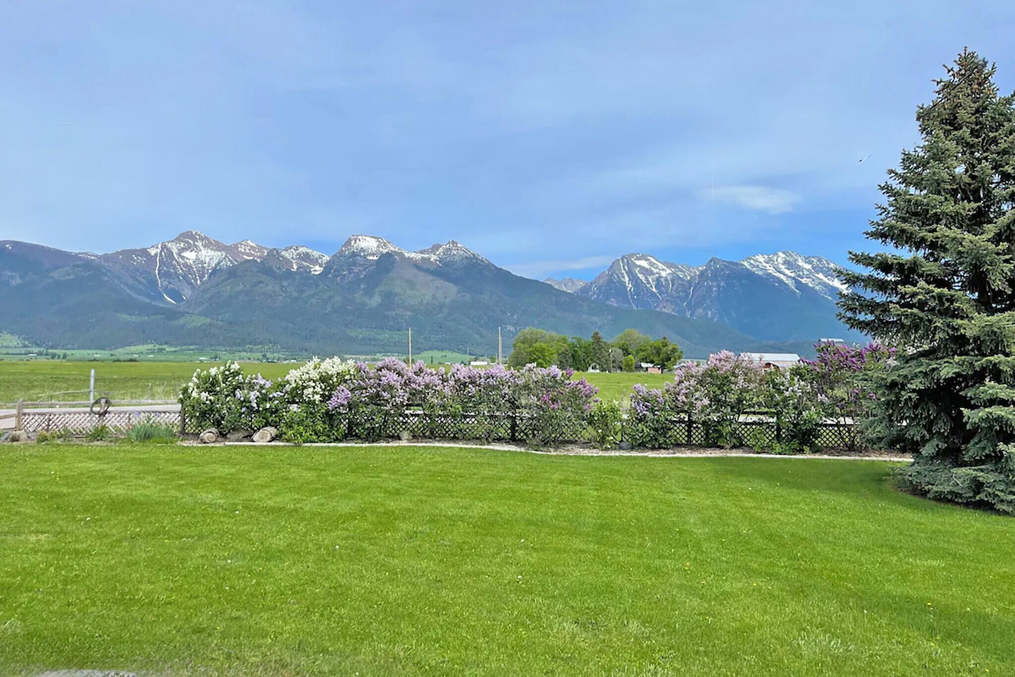 A grassy field with a fence, a tree, and mountains in the background.