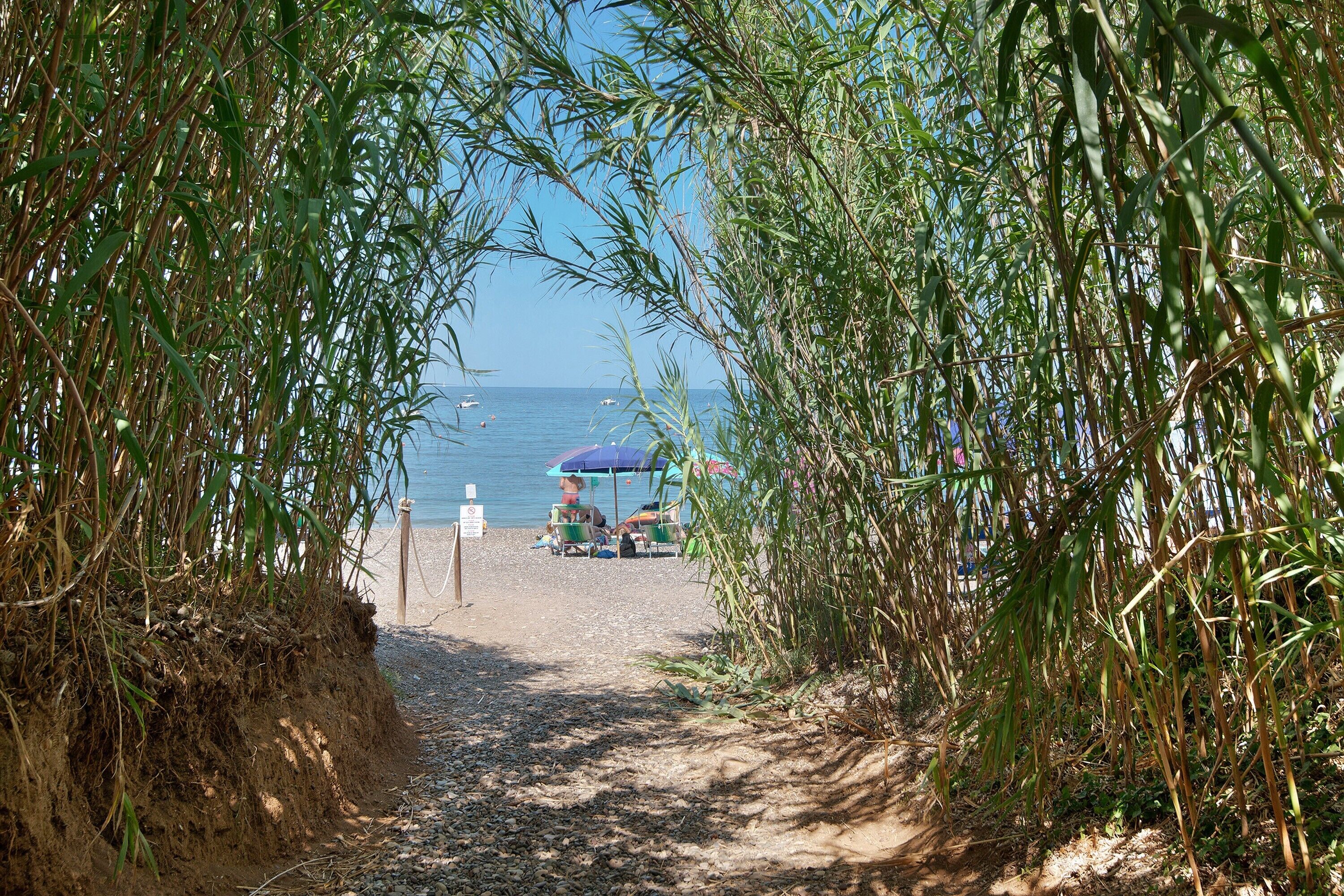 Strand