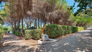 Un camino pavimentado bordeado de árboles y una pequeña estructura con un indicador de dirección.
