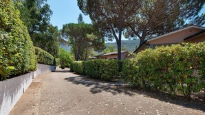 A paved driveway leading to a building with a white exterior and a red roof, surrounded by dense greenery and trees. - Three-Room Apartment with Garden 100 Meters from the Beach - Sole e Mare Tourist Village (Rio)