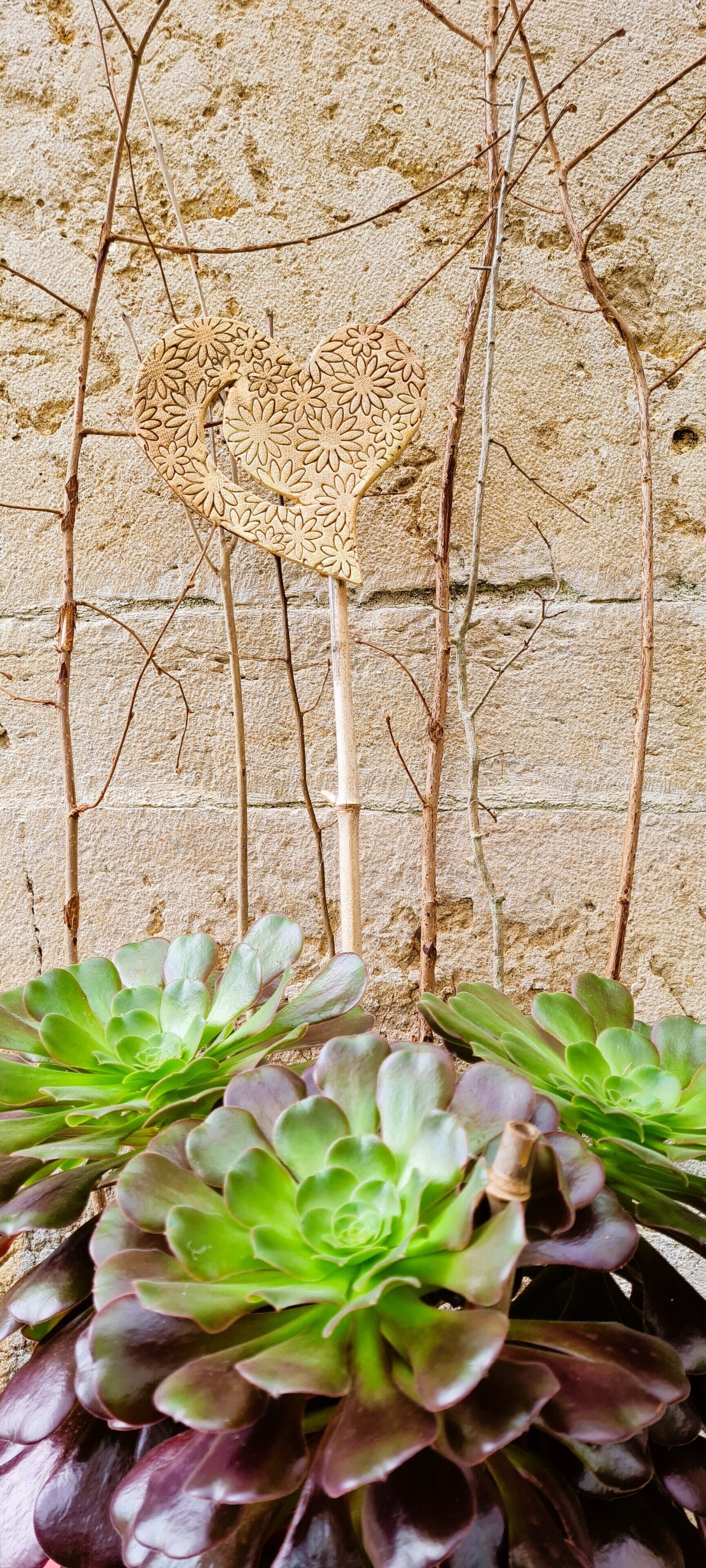 Un mur à la surface texturée et une plante aux feuilles vertes au premier plan.