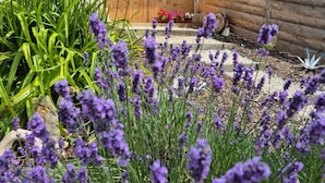 A wooden door with a nameplate, a stone wall, and a garden with lavender and orange flowers. - Guest Room “La Cabane et Spa Chez Jules” with Private Space and Wi-Fi (Vellerot-lès-Vercel)