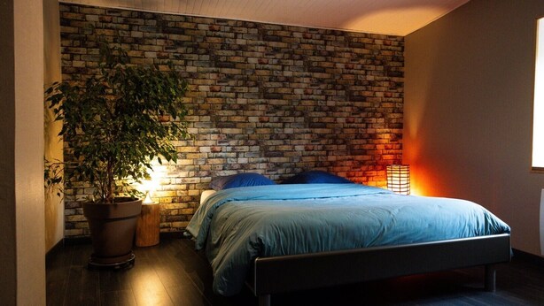 A bedroom with a brick wall, a bed, a potted plant, and a bedside lamp. - Gîte Chez Jules with Spa, Private Terrace, and Wi-Fi (Vellerot-lès-Vercel)
