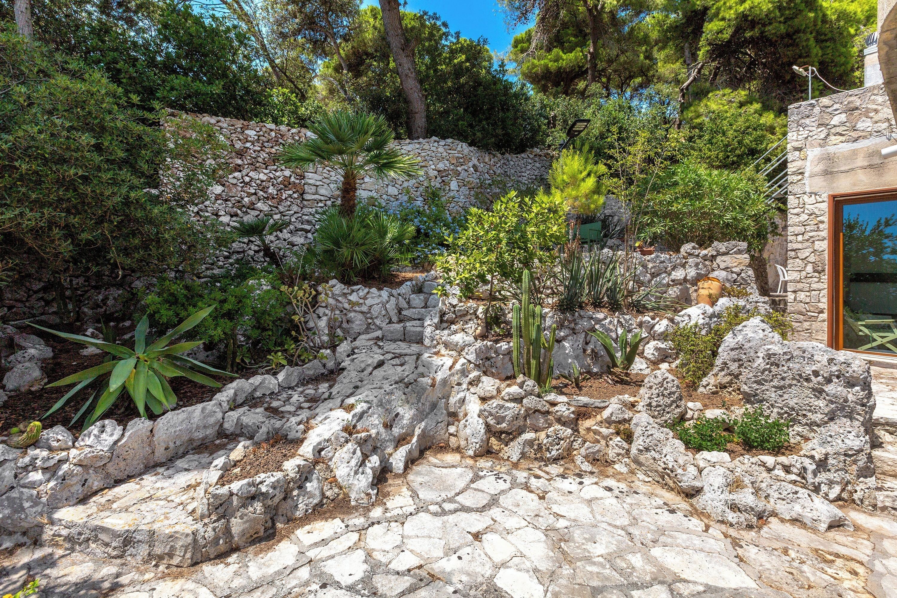 A stone wall with a variety of plants and a cactus.