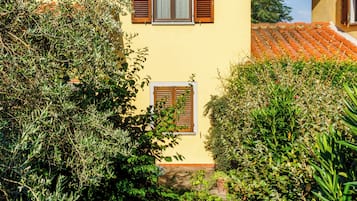 Casa, patio, vista al jardín | Exterior