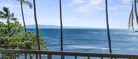 Une vue depuis un balcon donnant sur une plage bordée de palmiers et l’océan.
