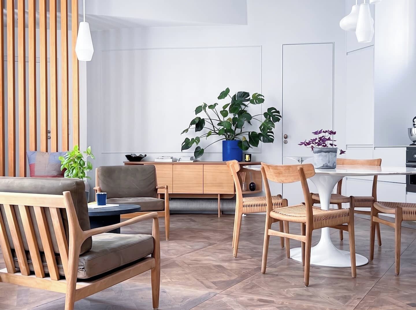 Een moderne woonkamer met een bank, stoelen, een eettafel en een grote plant.