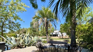 Eine Terrasse mit rundem Tisch und Stühlen, umgeben von üppigen Pflanzen und einer Palme, mit einem Gebäude im Hintergrund.
