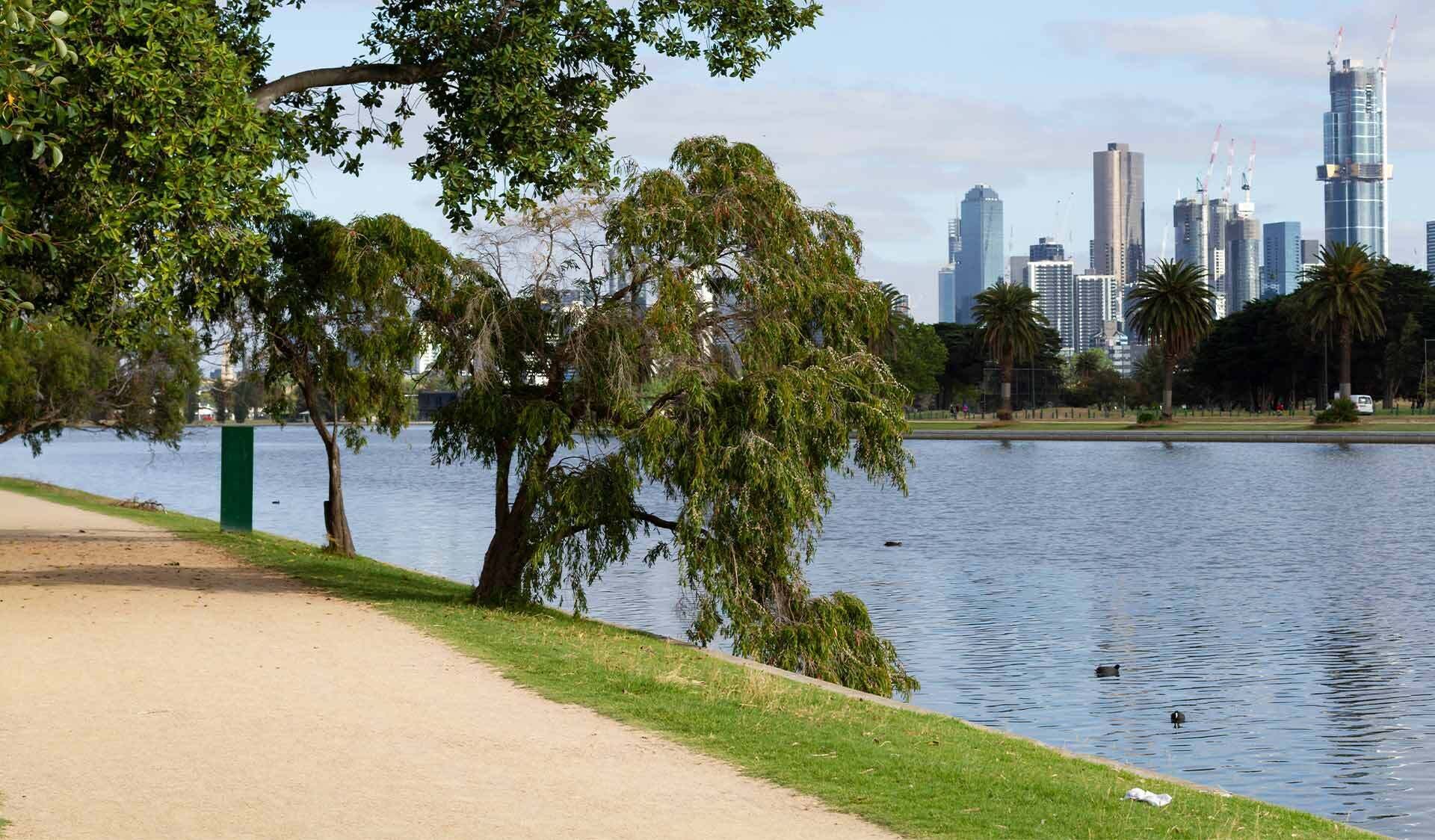 A park with a lake, trees, and a city skyline in the background.