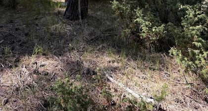 Rustic Glamping Camper Cabin Near Hunting Unit 6A & San Pedro Parks Wilderness, New Mexico
