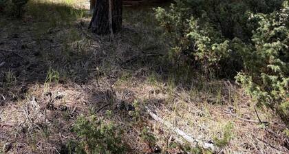 Rustic Glamping Camper Cabin Near Hunting Unit 6A & San Pedro Parks Wilderness, New Mexico