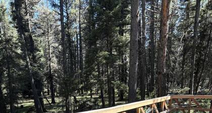 Rustic Glamping Camper Cabin Near Hunting Unit 6A & San Pedro Parks Wilderness, New Mexico