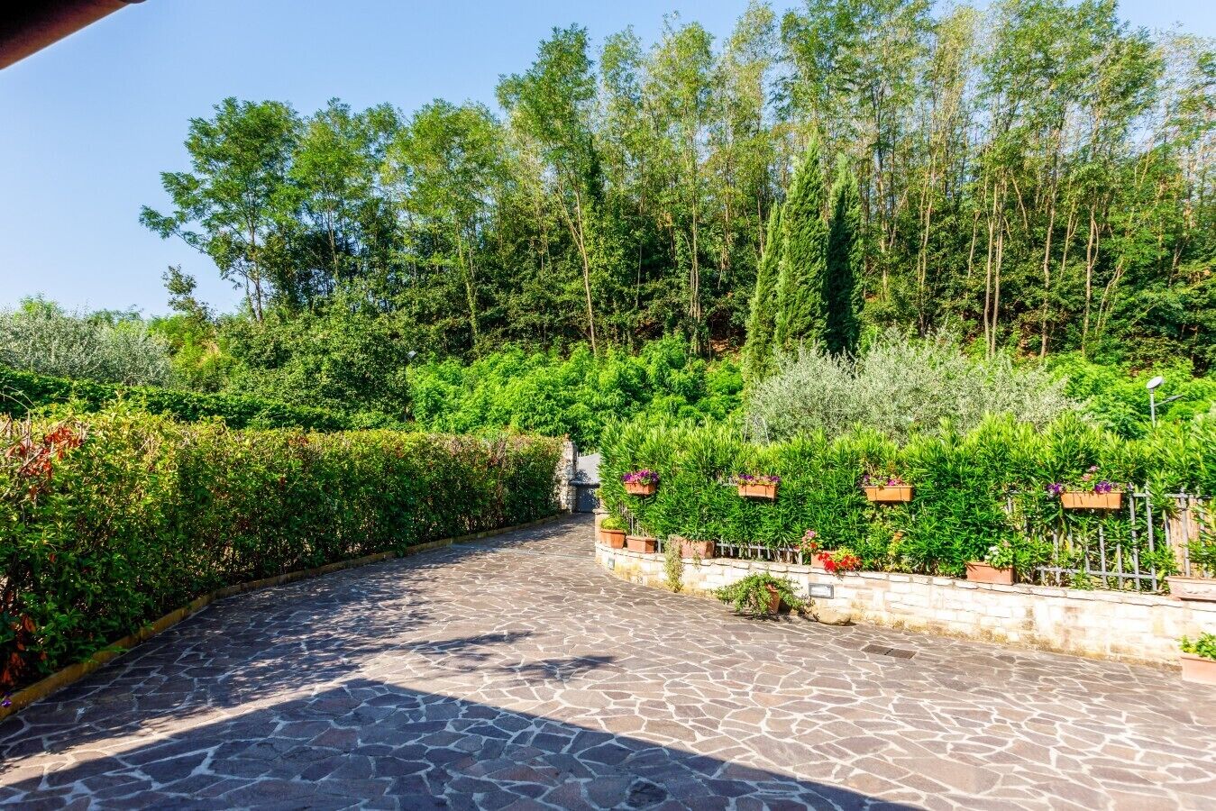 Parco della struttura