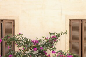A building facade with two wooden shutters and a flowering vine in front. - Trastevere | Piazza Trilussa | Rome on Foot—Moro7— (Roma)