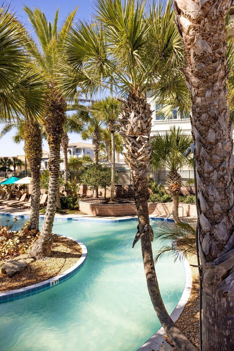 A swimming pool surrounded by palm trees and a building in the background.