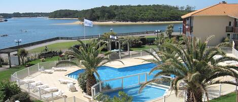 Piscina con vista al mar, rodeada de palmeras y un área delimitada con sillas de descanso.