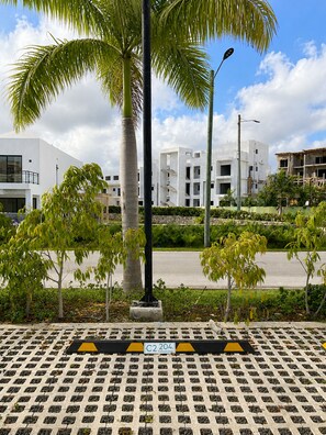 Una zona pavimentada amb una graella de jardineres, una palmera i edificis moderns al fons.