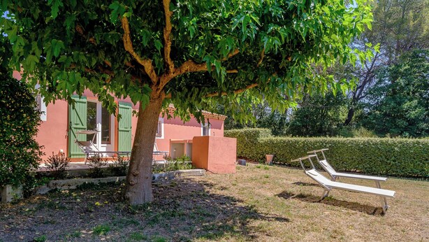 Ein Garten mit Baum, Bank und einem Gebäude mit grüner Tür.