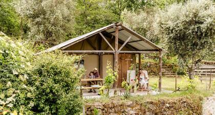 Asia Glamping Tent
