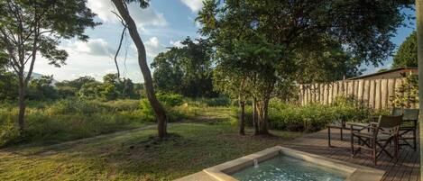 A pool area with a wooden deck, surrounded by trees and a grassy landscape.