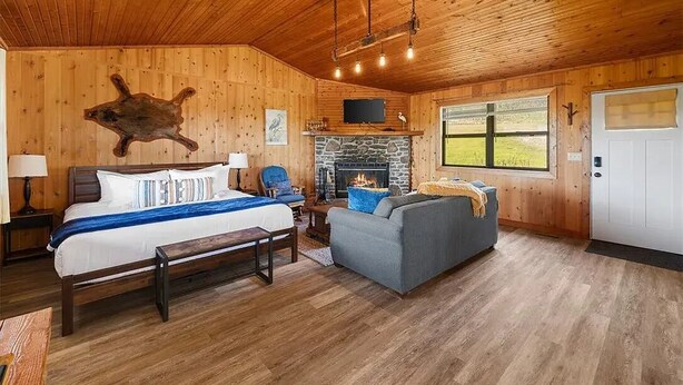 Un interno in legno con un letto, un divano e un camino.
