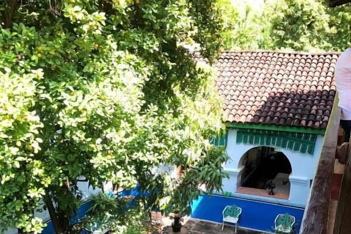 Kahden hengen standard-huone (yksi tai kaksi sänkyä), näköala pihalle | Ulkoalueet