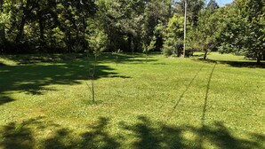 A grassy area with trees and a clear sky. - Charming, streamside, 3-bedroom country house in Confluence! (Confluence)